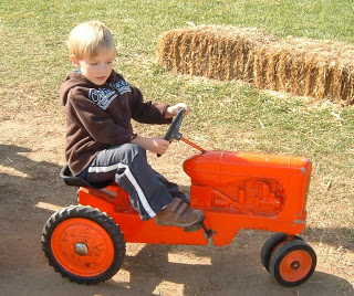 Pumpkin Picking