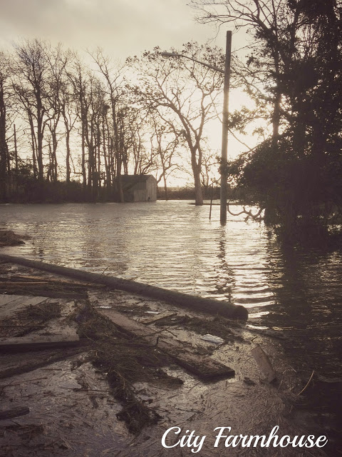 Updates From Hurricaine Sandy