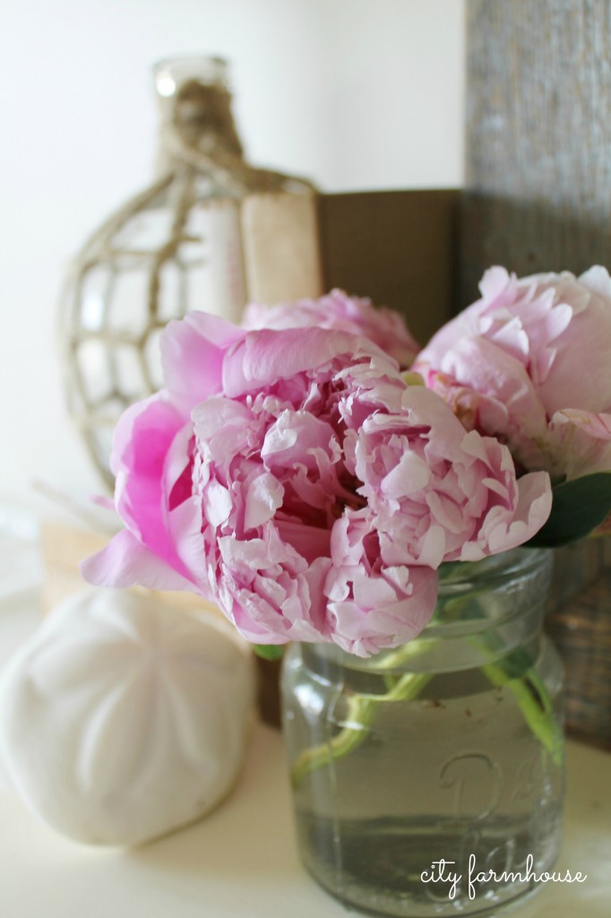 Simple SEA Sign & flowers