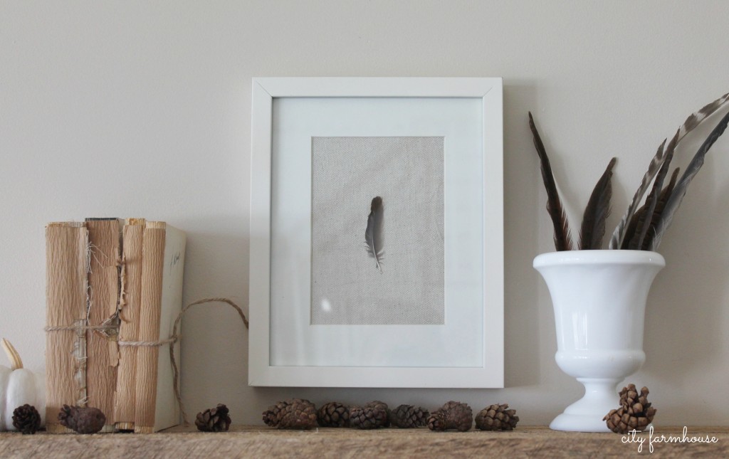 DIY Feather Art-Family collection of feathers from summer