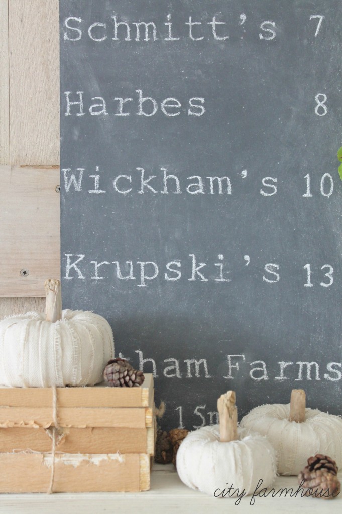 DIY Dropcloth Driftwood Petite Pumpkins & North Fork Pumpkin Patches-Easy Fall Decorating Project