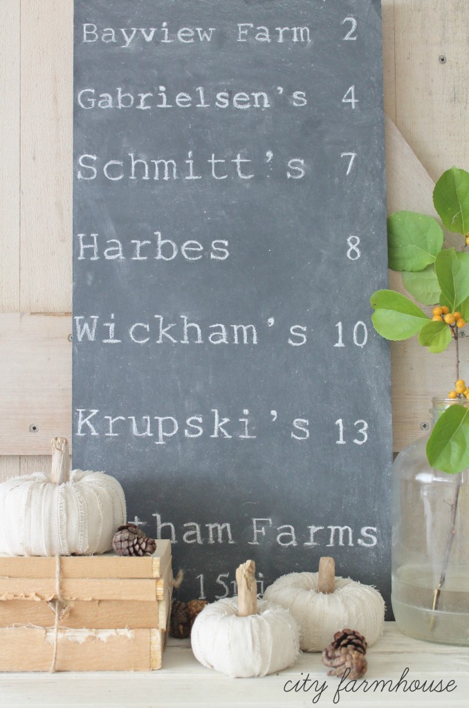 DIY Dropcloth Driftwood Petite Pumpkins & North Fork Pumpkin Patches-Easy Fall Decorating Project_City Farmhouse