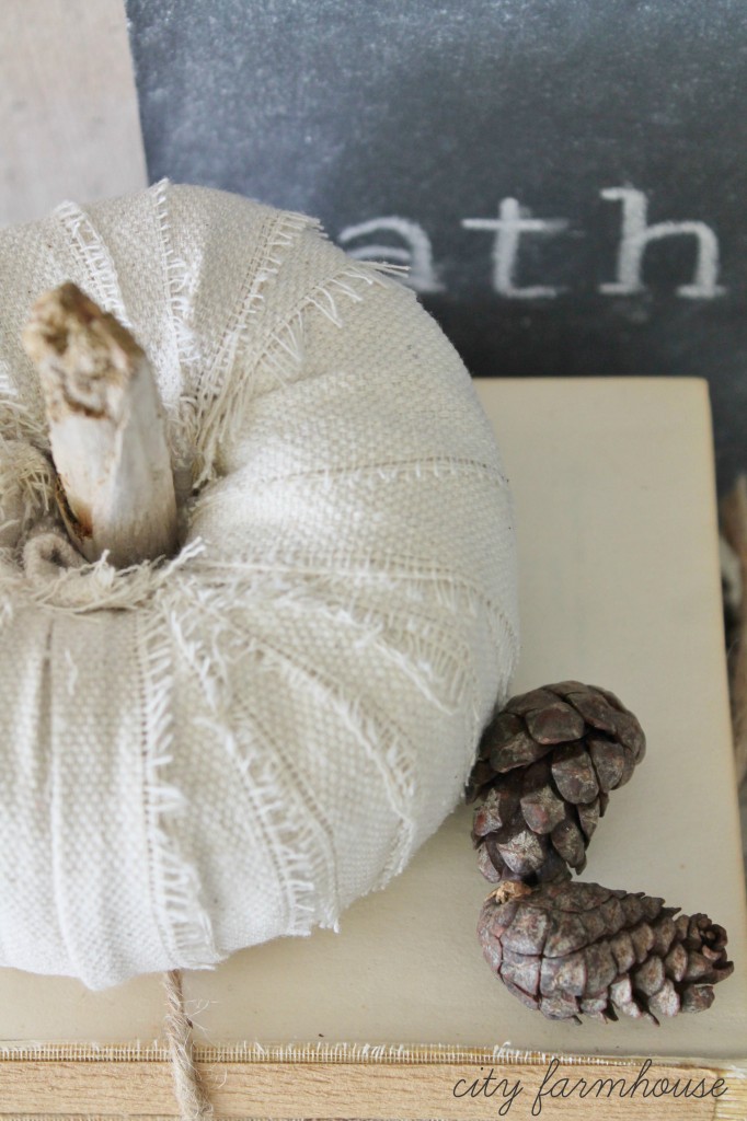 DIY Dropcloth Driftwood Petite Pumpkins-Simple Fall Project- Costs Less Than 30 cents