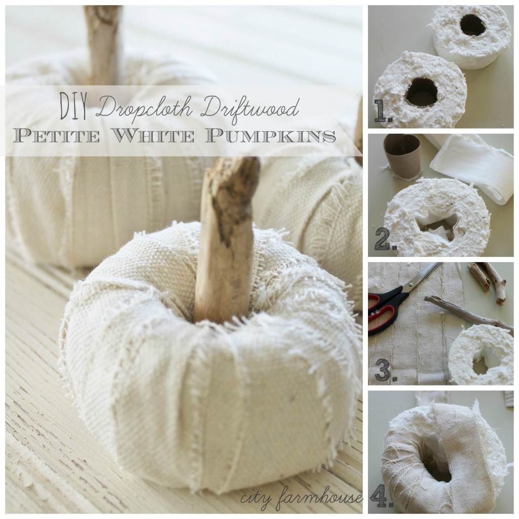 DIY Dropcloth Driftwood Petite Pumpkins-Tutorial-City Farmhouse