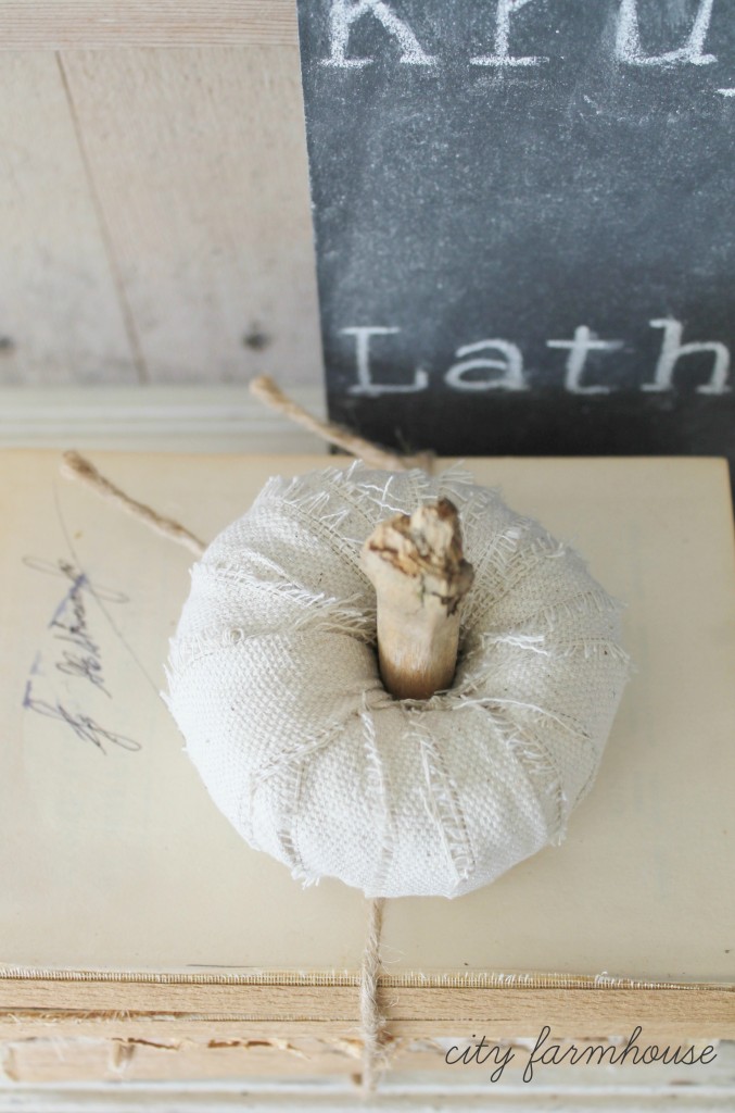 DIY Dropcloth Driftwood Petite Pumpkins_Easy Tutorial-City Farmhouse