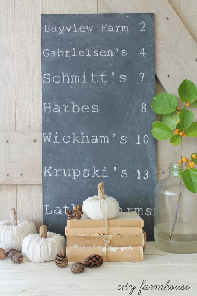 DIY Dropcloth Driftwood Petite White Pumpkins-Easy Project for Fall-Pumpkin Patch Chalboard