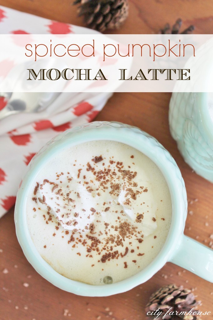 Spiced Pumpkin Mocha Latte -So Easy-The Perfect Fall Drink