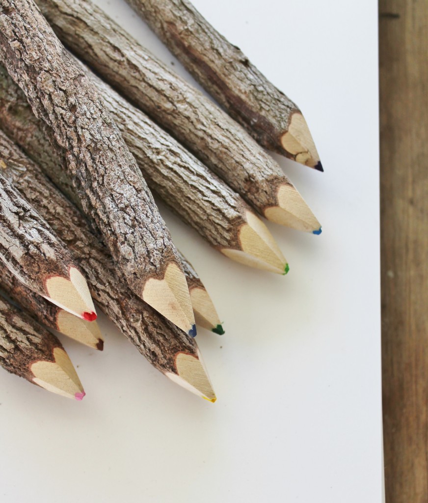 tree branch colored pencils