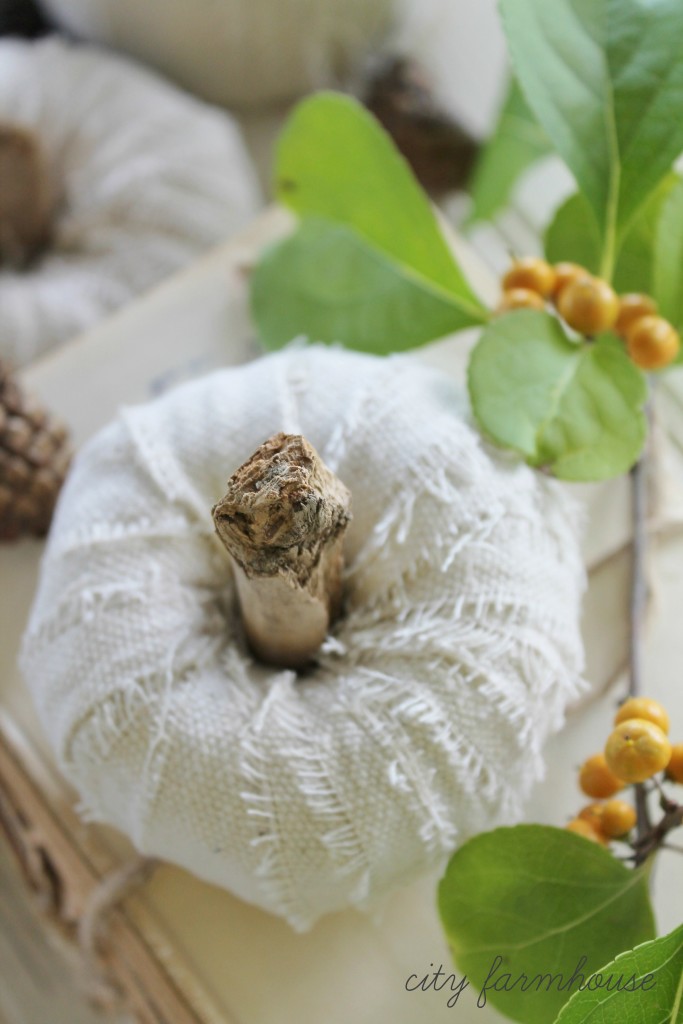 DIY Dropcloth Driftwood Petite White Pumpkins-Easy Project for Fall