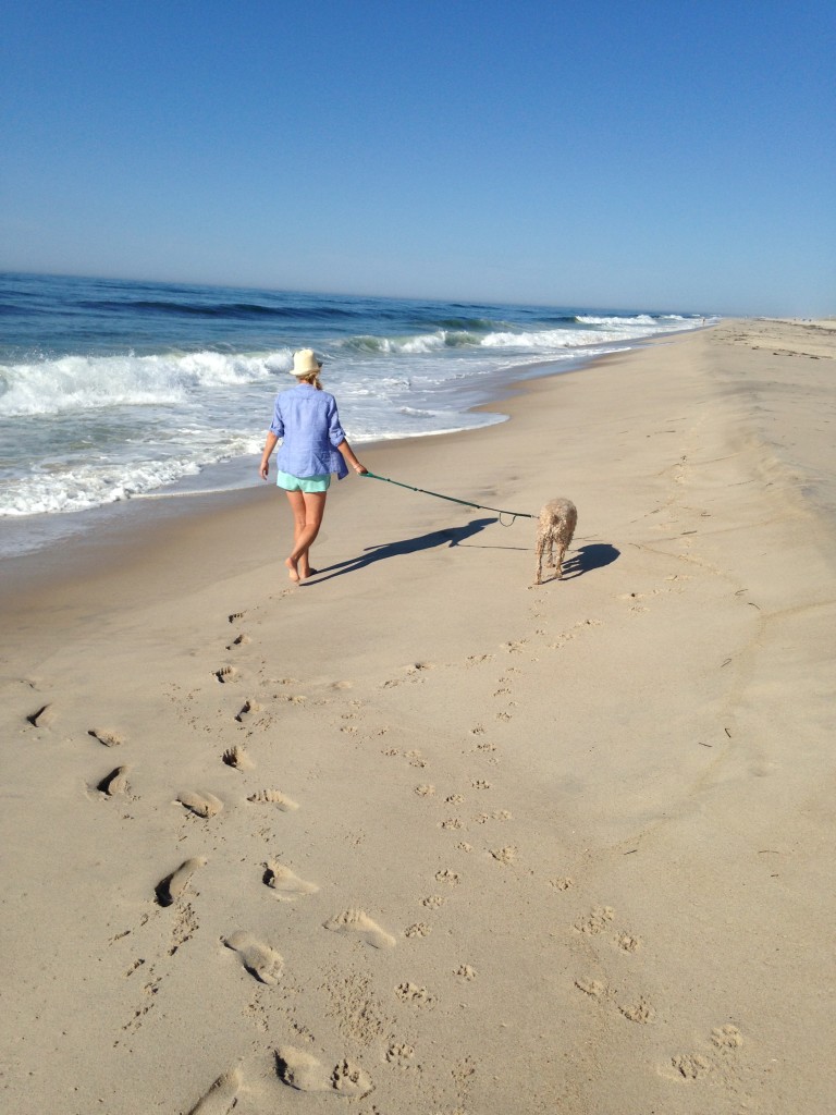 Murphy at the Beach