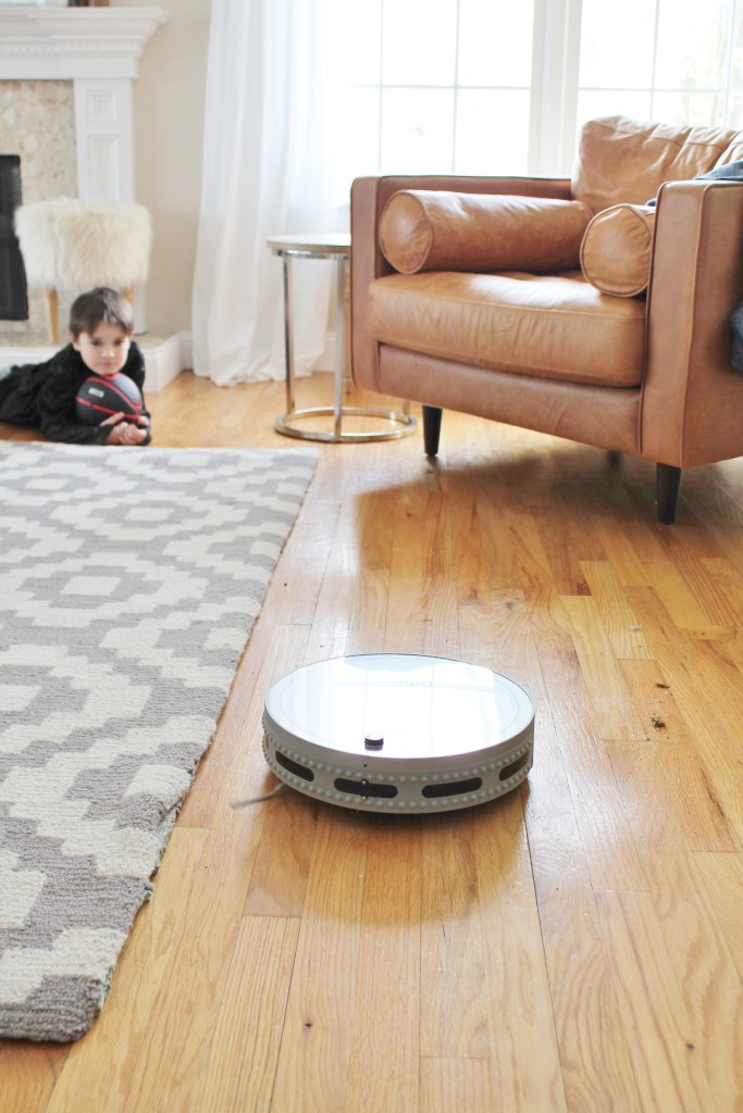 Robotic Vacuum Review-Bobi Pet