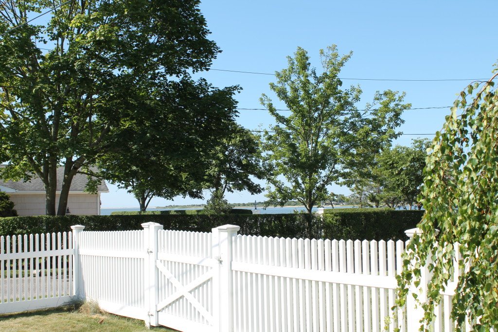 Backyard View