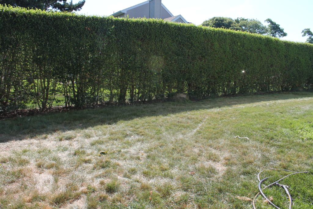 Create A Diy Pea Gravel Patio The Easy Way City Farmhouse