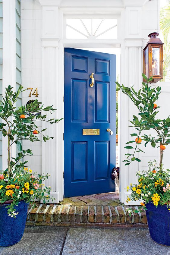 Bright Blue Door - Southern Living