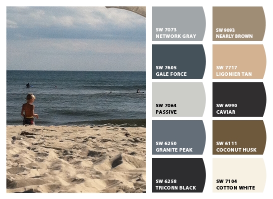 Sherwin-Williams Color Snap Visualizer-Network Gray, Gale Force, Passive, Granite Park, Tricorn Black