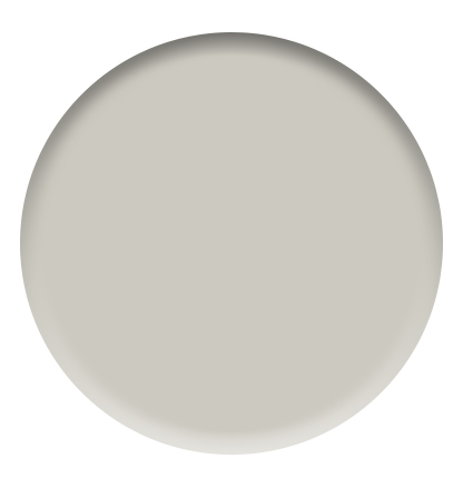 Sherwin Williams - Repose Gray - City Farmhouse