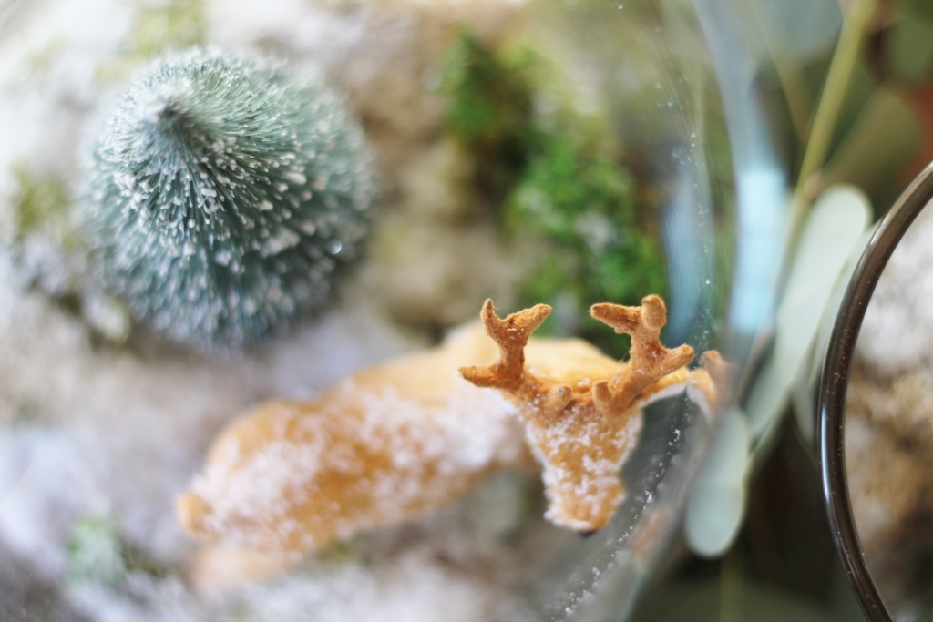 Simple Woodland Inspired Holiday Terrarium Tablescape-City Farmhouse