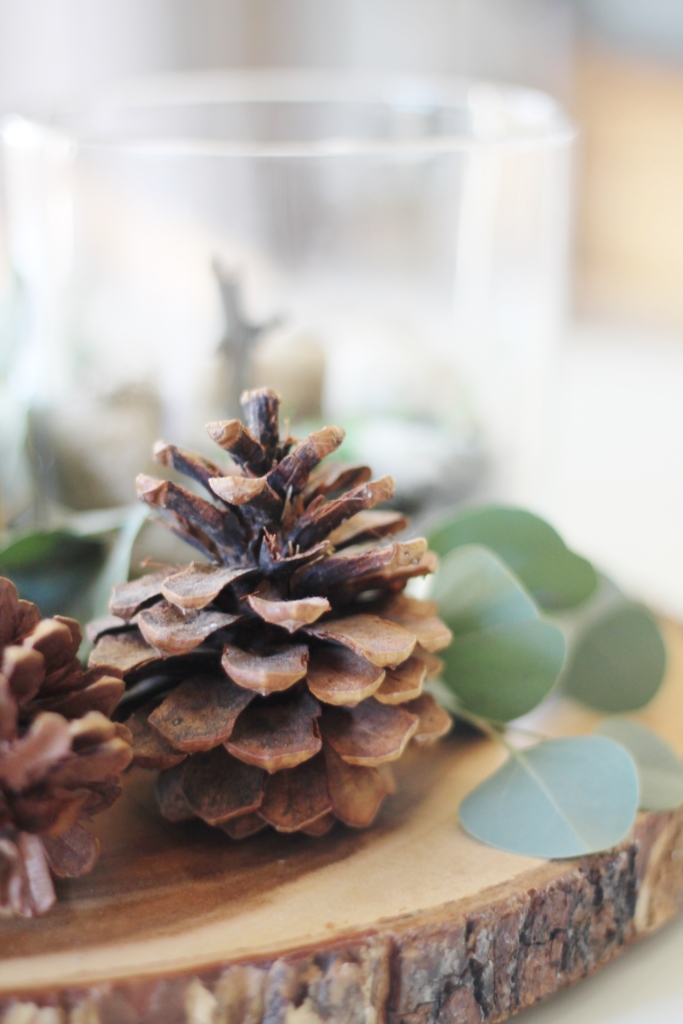 Simple Woodland Inspired Holiday Terrarium Tablescape-City Farmhouse