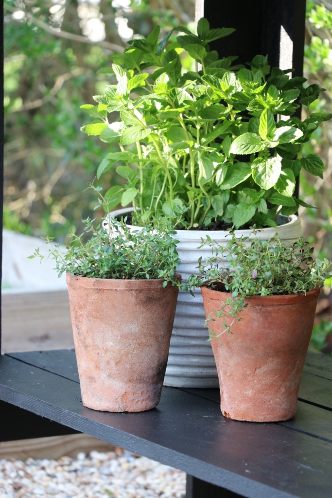 Outdoor Herb Bar: Give Your Summer Recipes A Little Something Extra