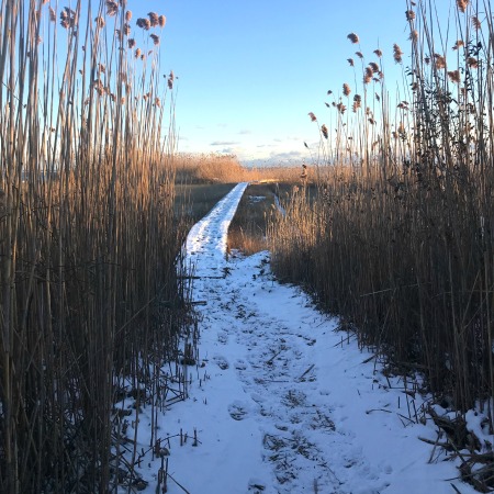 East End Long Island #coastalliving #thehamptons @cityfarmhouse1