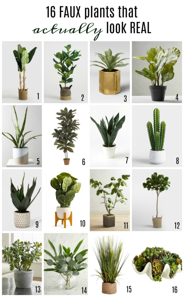 11 Fake Plants from  That Look Real