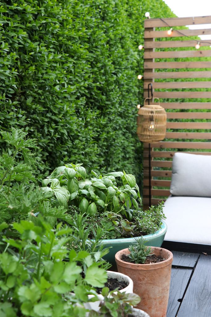 Summer Patio Part 2-Seasons of Home Tours