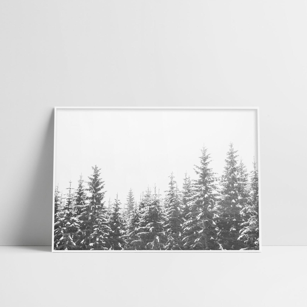 Visual Monochrome Arts- winter print