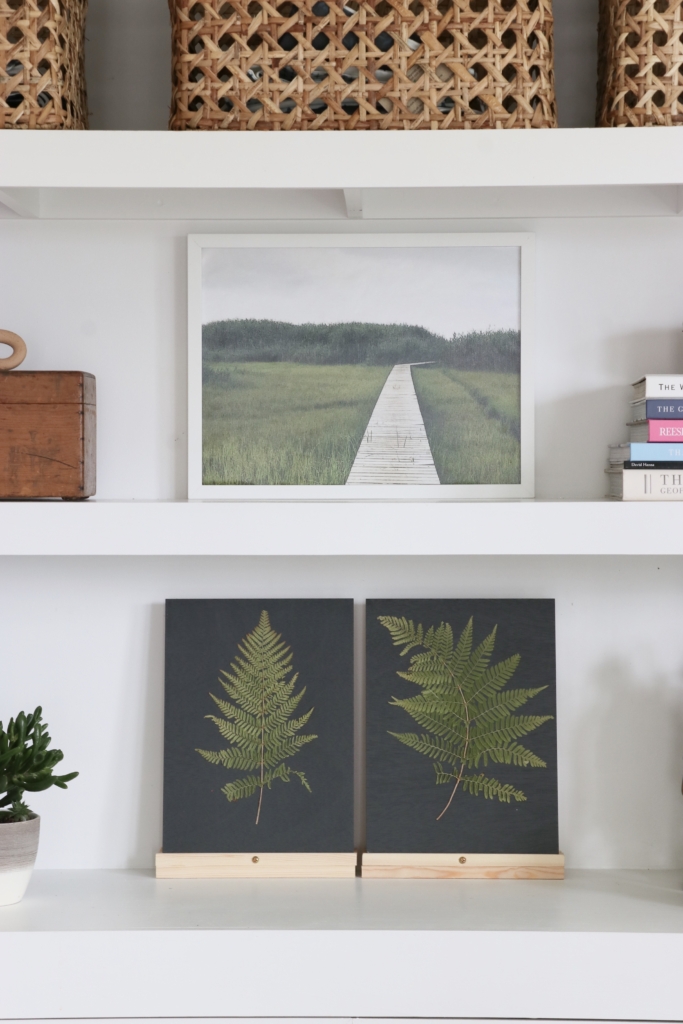 Fern Art-Bookcase Styling