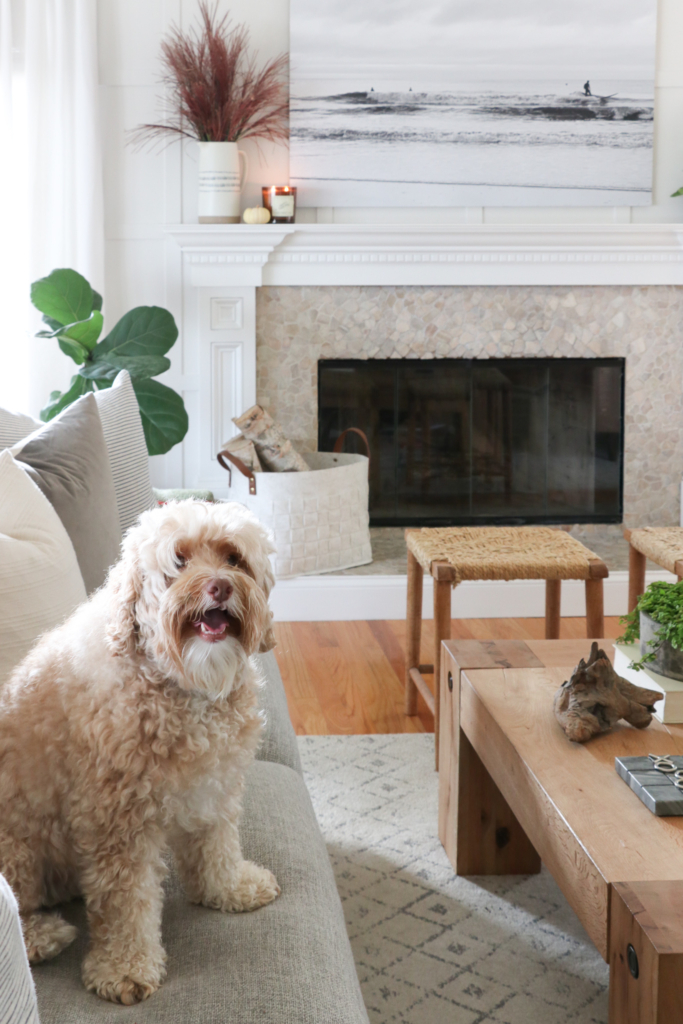 New Family Room Curtains-Who Wore it Best? The blue linen from Home Goods or the white washed ones from West Elm?