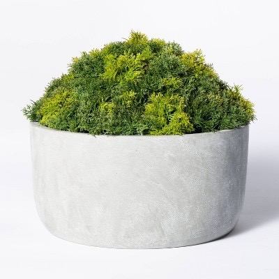 Target Outdoor Living- Moss Centerpiece