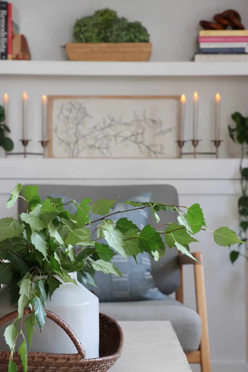 Cut Birch Branches and Dry Hydrangea's. Six Fall Ideas That Won't Break Your Decorating Budget. Black French doors. Article Sven. Barn and Willow Curtains. Rattan Pendant Serena and Lily. Concrete DIY Coffee Table. Studio McGee at Target Rug. Minted Art. Coastal Grandmother. White Slipcover Sofa. Custom Built-ins. Linen and Velvet Pillows. Jennifer O'Brien by City Farmhouse. Hats on the Wall. LED Taper Candles. Blanket Rack.