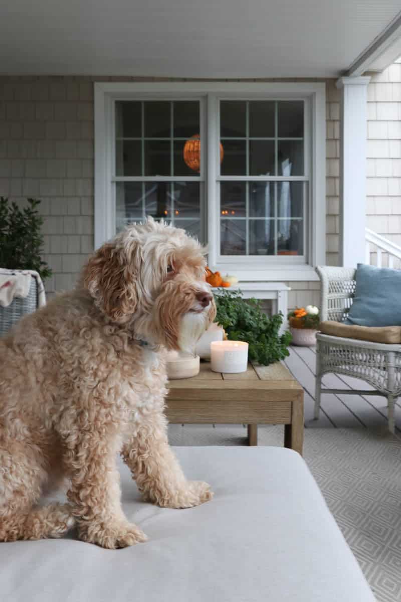 Easy Fall Front Porch Decorating Ideas