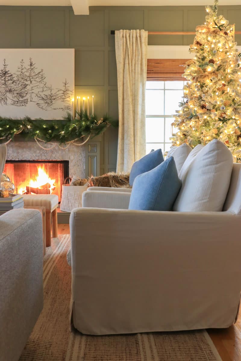 Holiday Housewalk-Natural Romance Christmas Tour- City Farmhouse