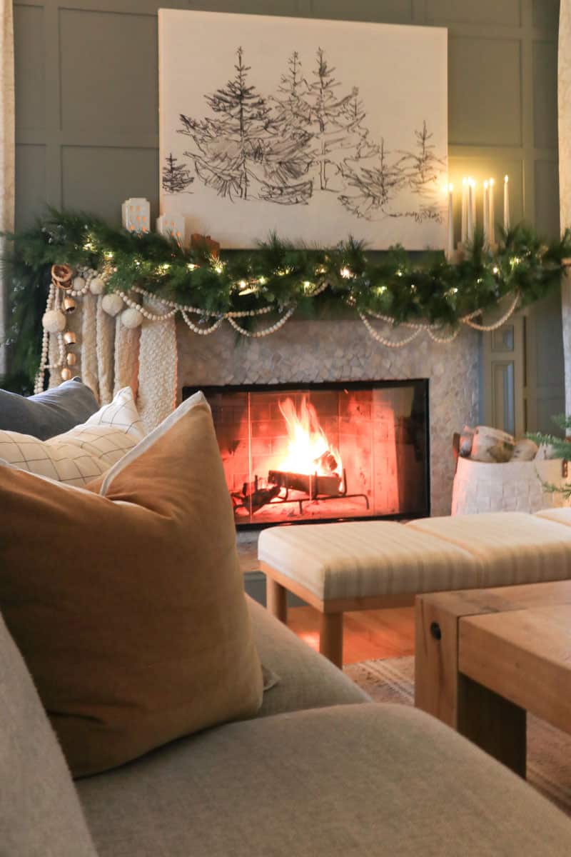 Holiday Housewalk-Natural Romance Christmas Tour- City Farmhouse