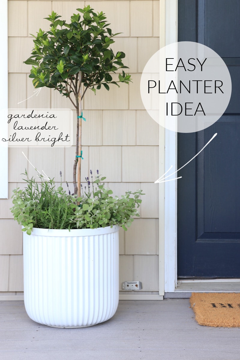 Best planter idea for your front door.