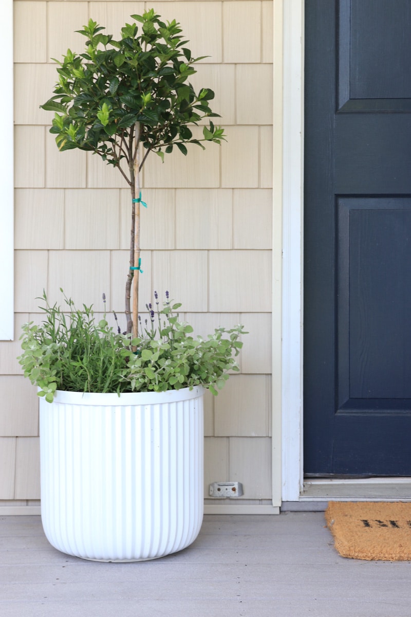 The Best Planter Idea For Your Outdoor Space