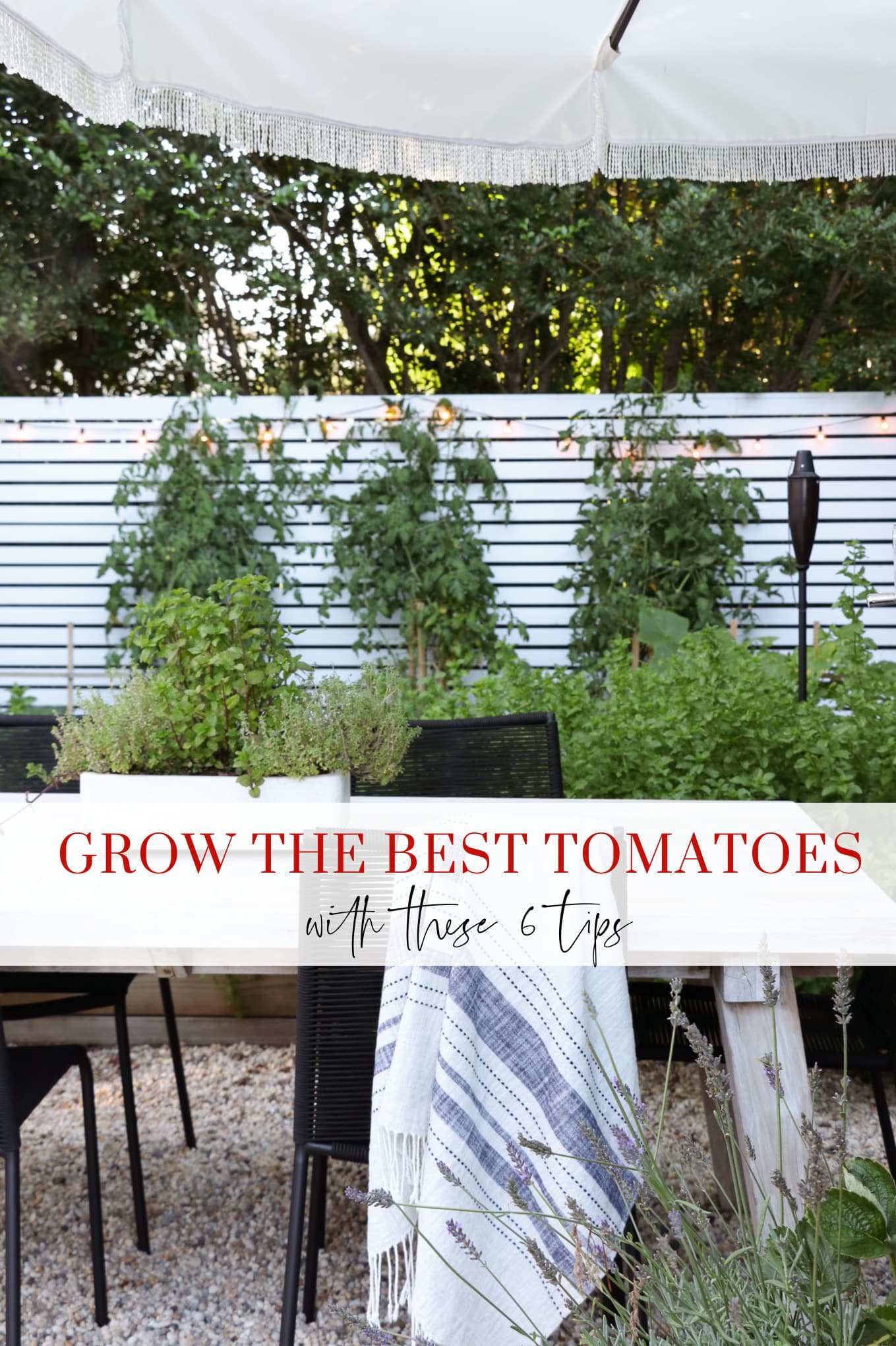 grow the best tomatoes with theses 6 tips. City Farmhouse by Jennifer O'Brien