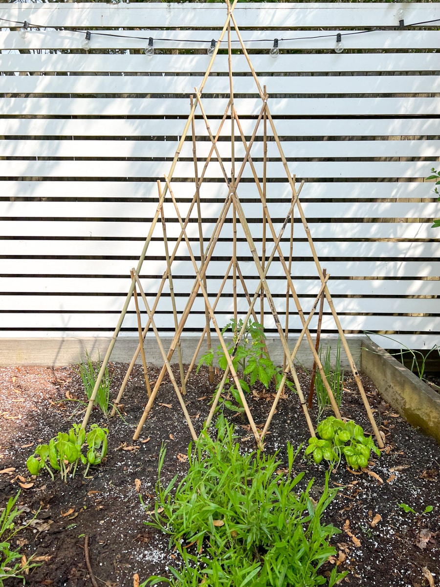 Bamboo Trellis for garden Amazon