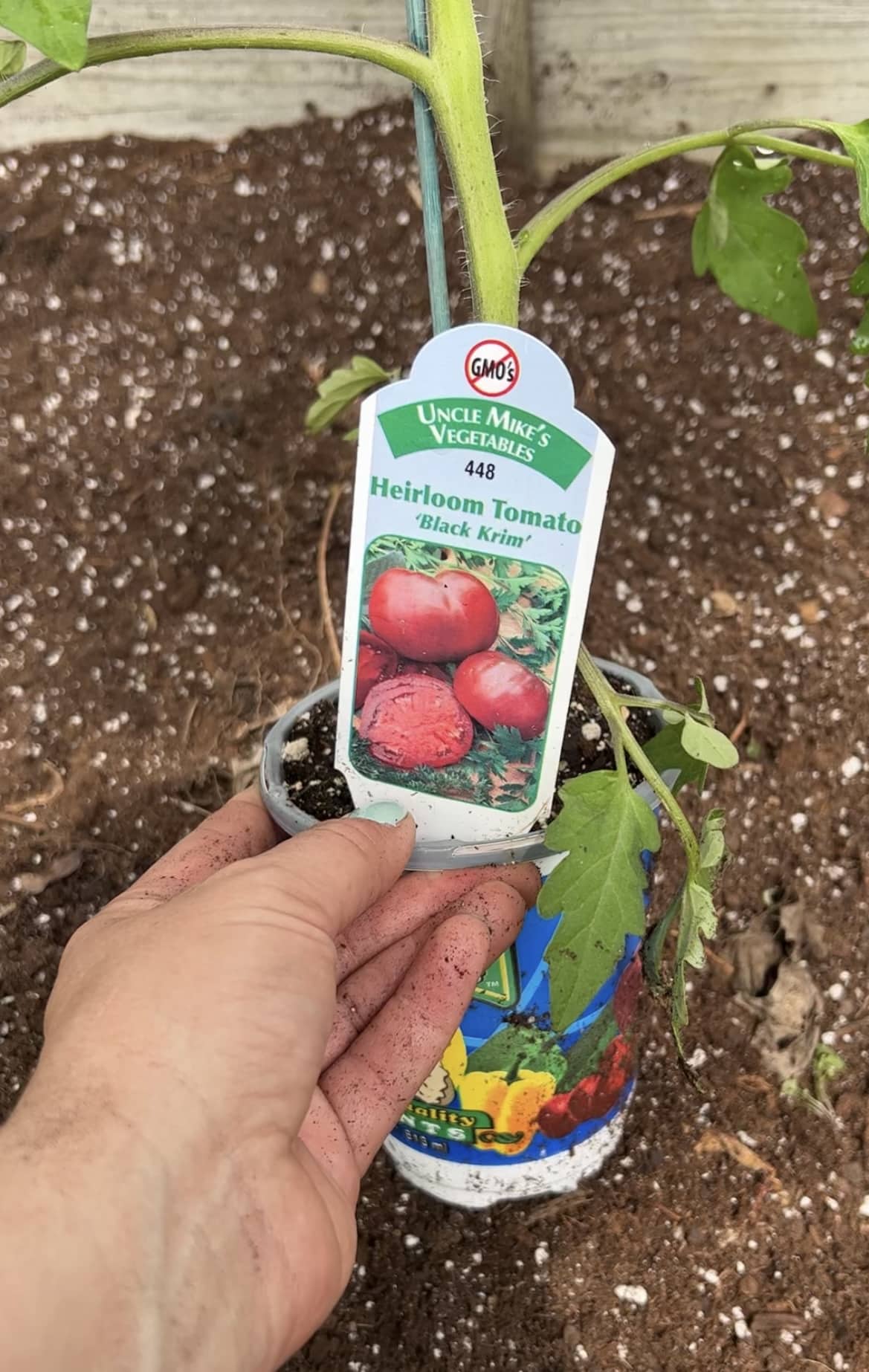 Best garden hack for growing tomatoes!