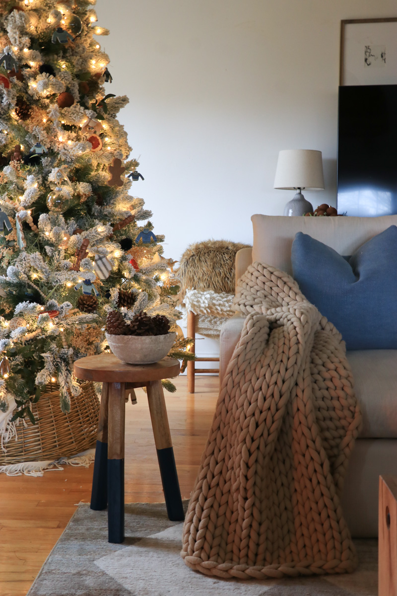 Coastal Niece Christmas Holiday Housewalk