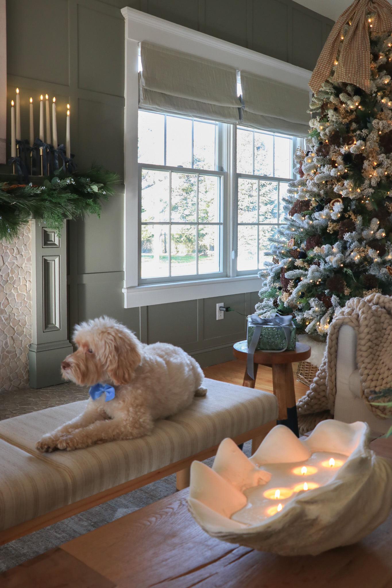 Coastal Niece Christmas + New Linen Shades from Barn & Willow.
