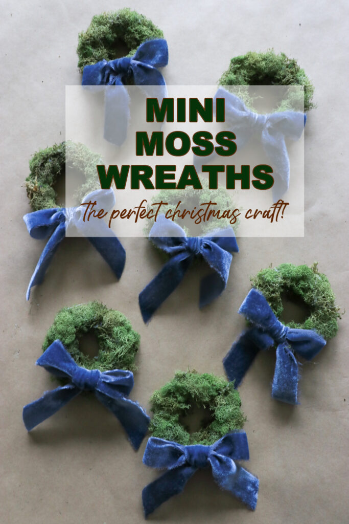 Mini Moss Wreaths City Farmhouse