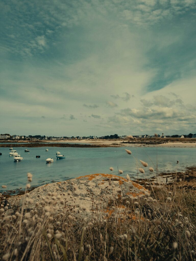 Giles Boutault Unsplash