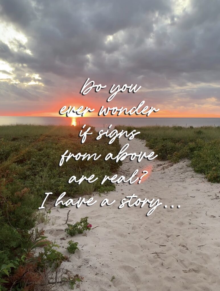 Jennifer O'Brien Author Instagram @cityfarmhouse1